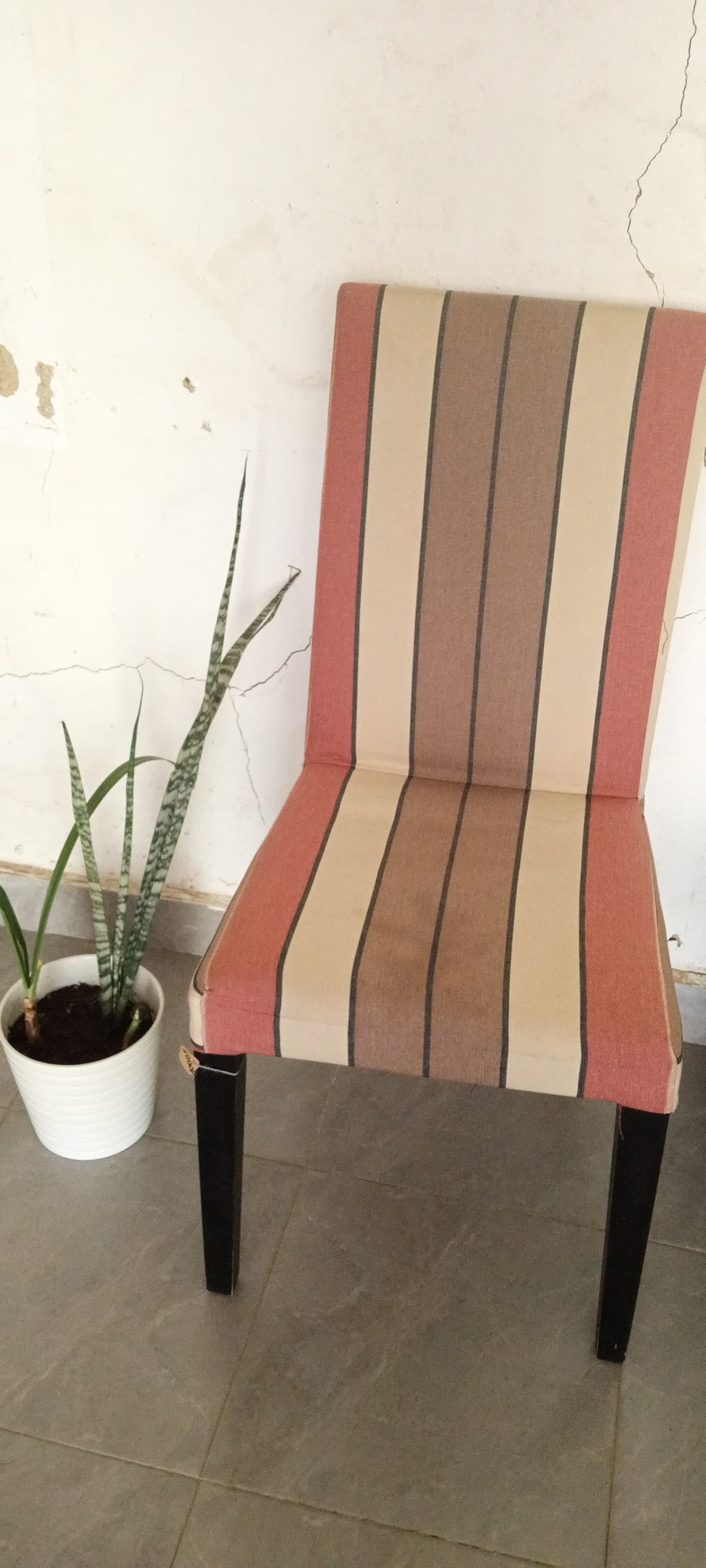 A red and beige striped chair sits next to a potted snake plant indoors.