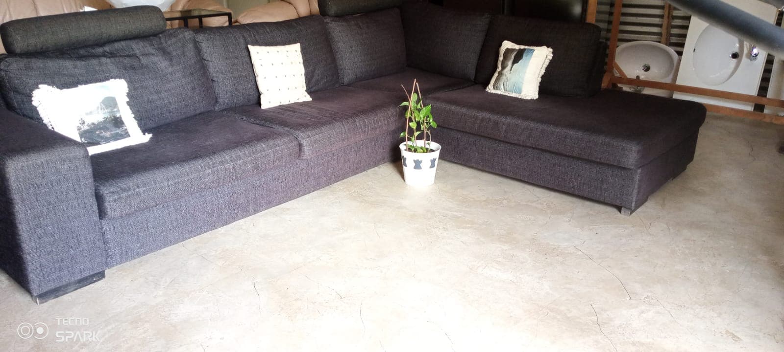 Dark gray L-shaped sectional sofa with pillows and a small potted plant on concrete floor.